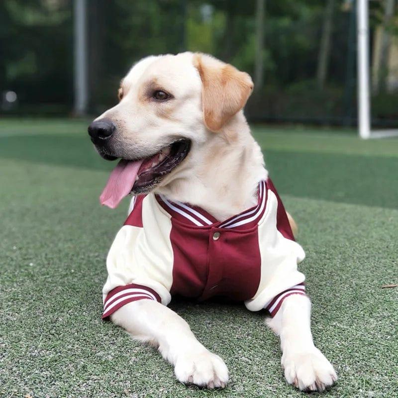 Para cães pequenos e grandes, jaqueta de inverno