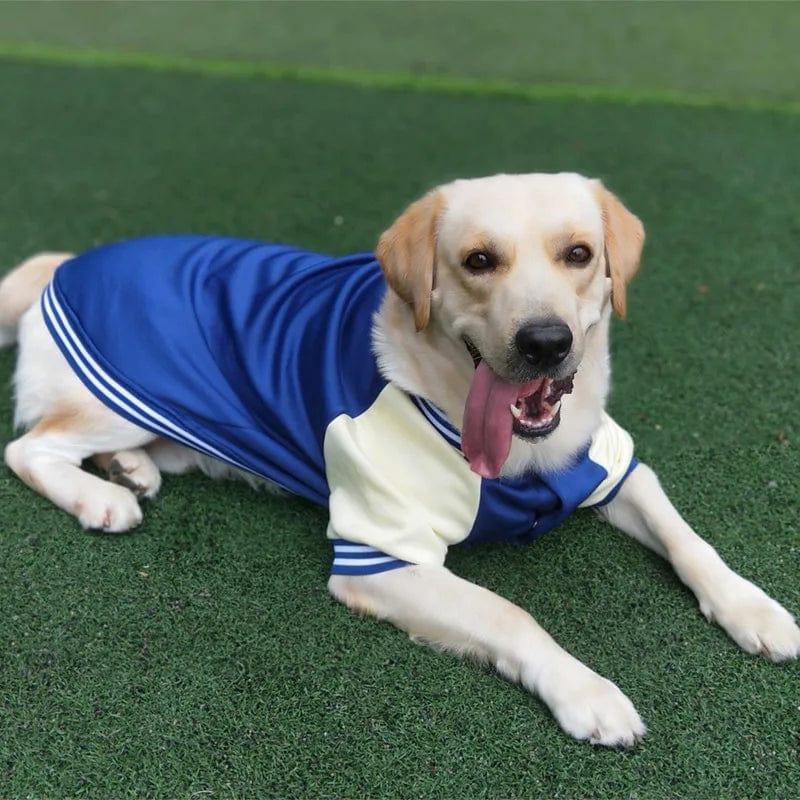 Para cães pequenos e grandes, jaqueta de inverno