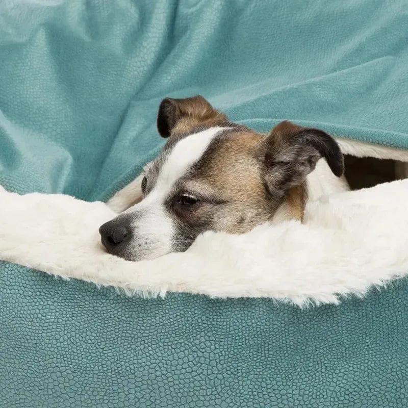 Cama ortopédica para cachorro