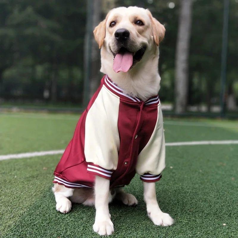 Para cães pequenos e grandes, jaqueta de inverno