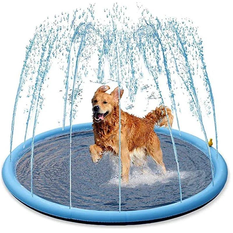 Piscina Inflável para Pets Verão